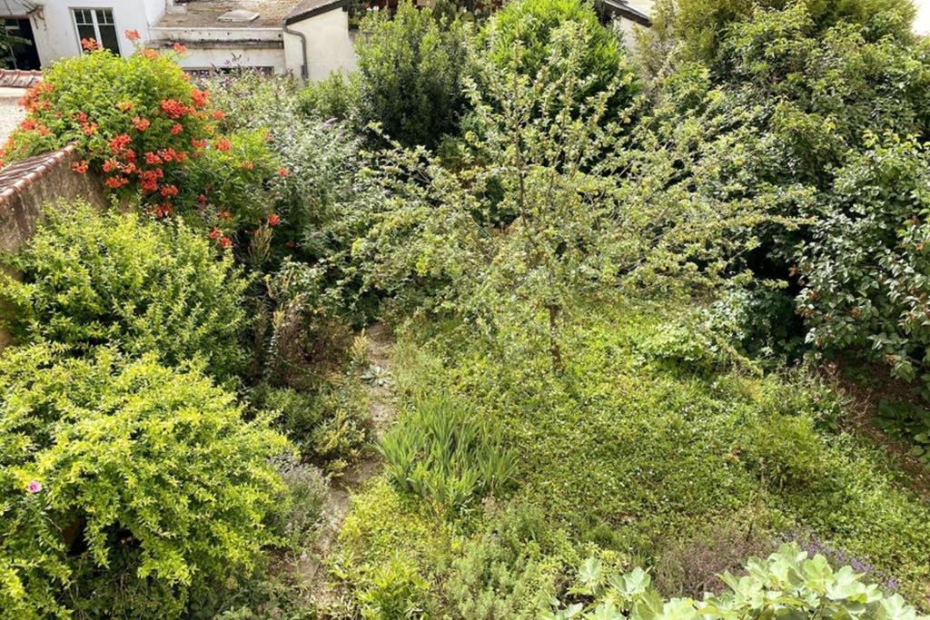 Appartement Cosy Idealement Situe Au Centre Ville Ντιζόν Εξωτερικό φωτογραφία